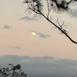 Meet your Posher, Sofia